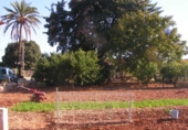 Detached villa with land for sale in Elda ref: TR14917 photo