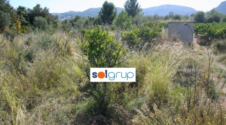 Alicante - Orbeta - 2500m2
