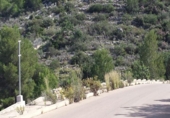 Land suitable for development for sale in Dénia ref: TR252661 photo