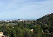 Land suitable for development for sale in Dénia ref: TR252661 photo