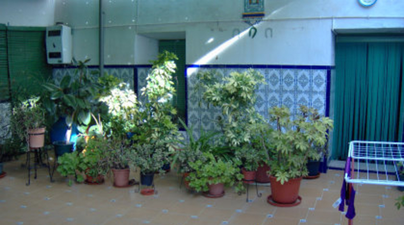 Badajoz - Almendralejo - 291m2
