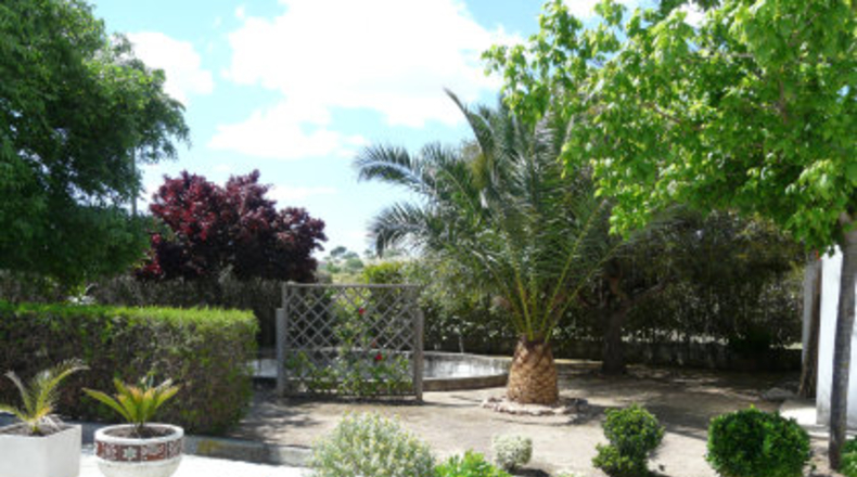Badajoz - Almendralejo - 24000m2