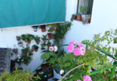 Casa de pueblo en venta en Almendralejo ref: TR51267 foto