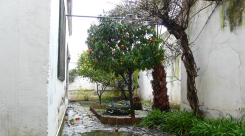 Badajoz - Almendralejo - 350m2