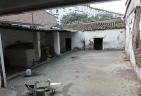 Foto 8