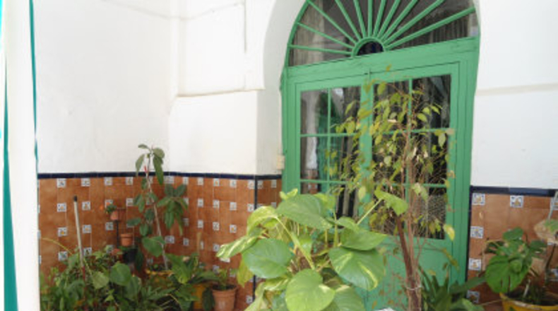Badajoz - Almendralejo - 600m2