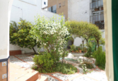 Chalet independiente con terreno en venta en Almendralejo ref: TR93389 foto