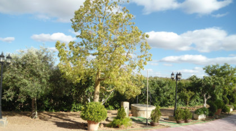 Badajoz - Almendralejo - 1100m2