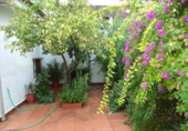 Casa de poble en venda a Almendralejo ref.: TR209843 foto
