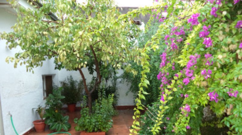 Badajoz - Almendralejo - 400m2