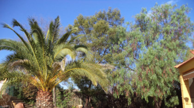 Badajoz - Almendralejo - 2148m2