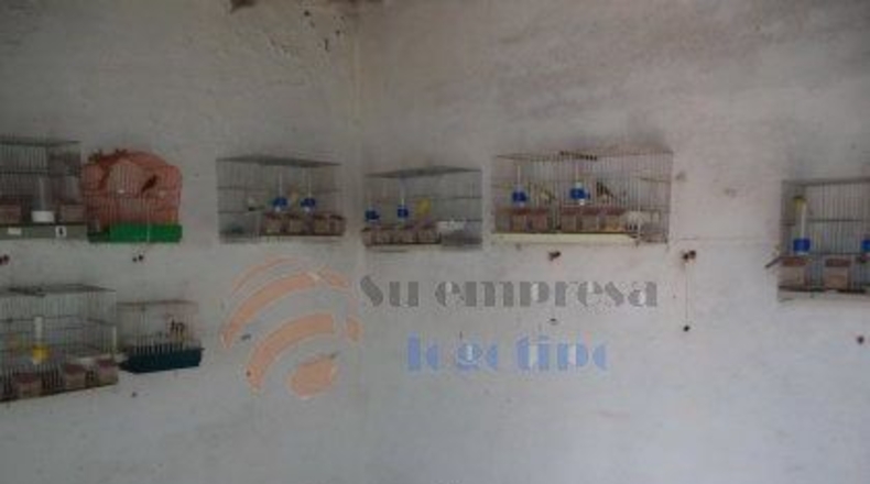 Badajoz - Almendralejo - 137m2