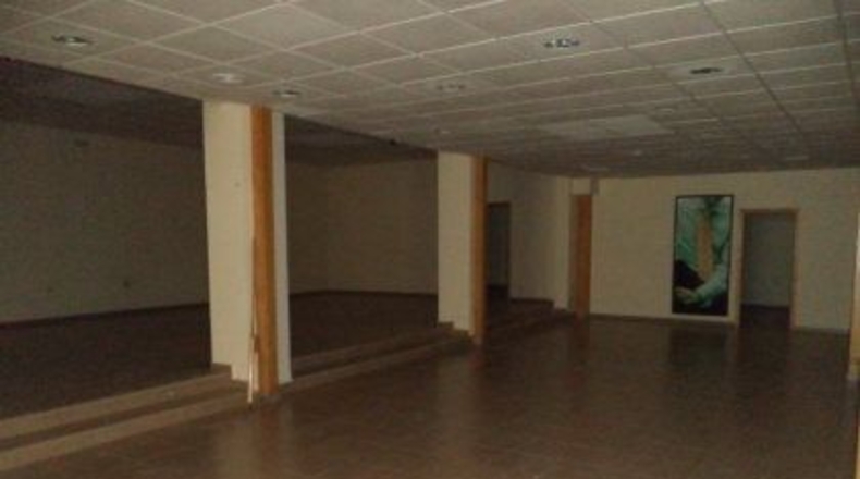 Badajoz - Almendralejo - 338m2