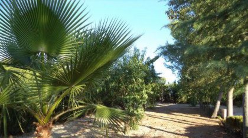 Badajoz - Almendralejo - 2000m2
