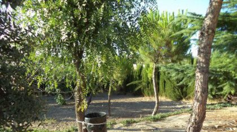 Badajoz - Almendralejo - 2000m2