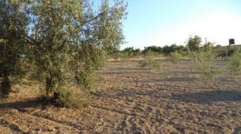 Badajoz - Almendralejo - 2000m2