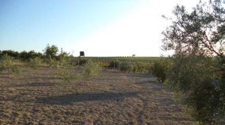 Badajoz - Almendralejo - 2000m2