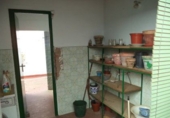 Участок с постройкой на продажу в городе Almendralejo. Фото