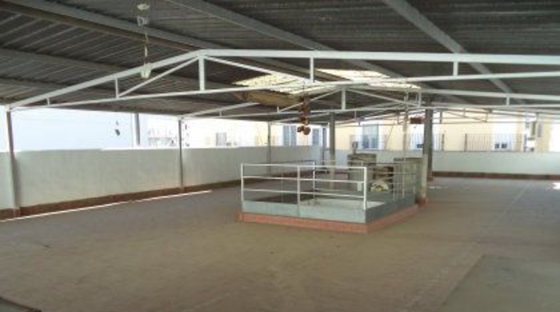 Badajoz - Almendralejo - 591m2