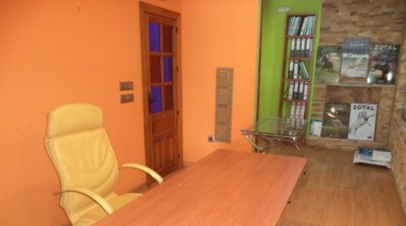 Badajoz - Almendralejo - 260m2