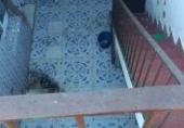 Casa de poble en venda a Almendralejo ref.: TR209831 foto