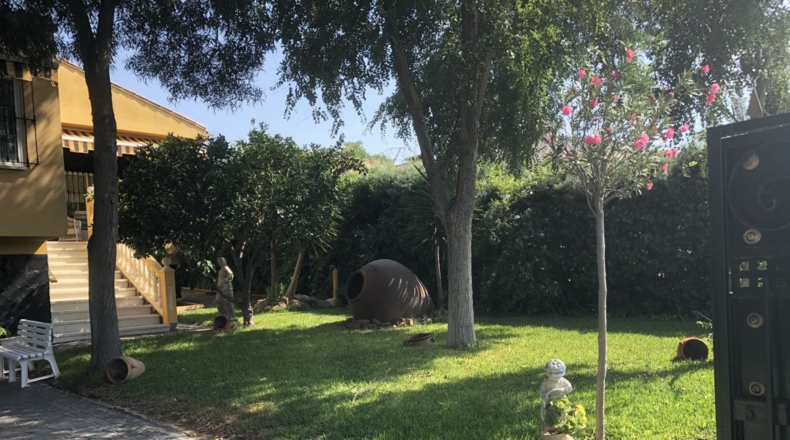 Badajoz - Almendralejo - 1600m2