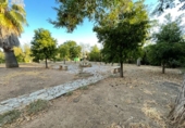 Отдельно стоящий дом с участком на продажу в городе Almendralejo. Фото