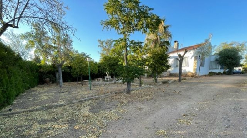 Badajoz - Almendralejo - 4540m2