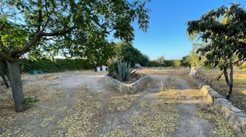 Badajoz - Almendralejo - 4540m2