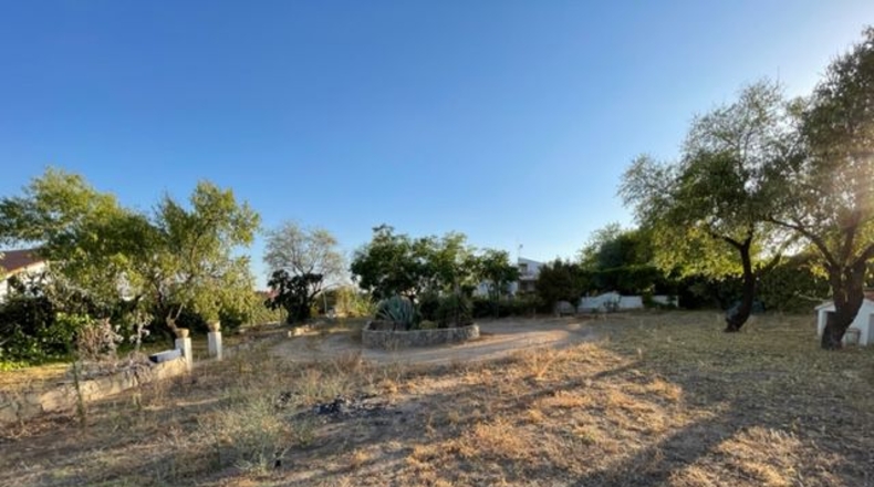 Badajoz - Almendralejo - 4540m2