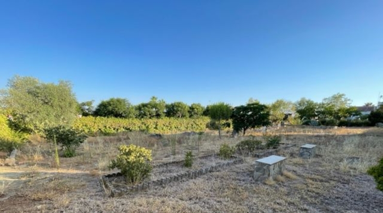 Badajoz - Almendralejo - 4540m2