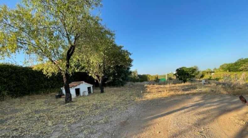 Badajoz - Almendralejo - 4540m2