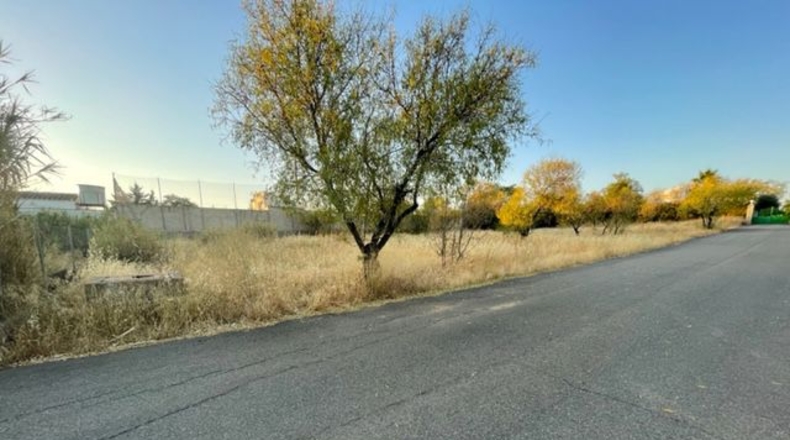 Badajoz - Almendralejo - 4540m2