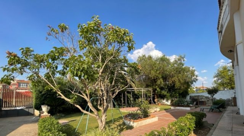 Badajoz - Almendralejo - 1200m2