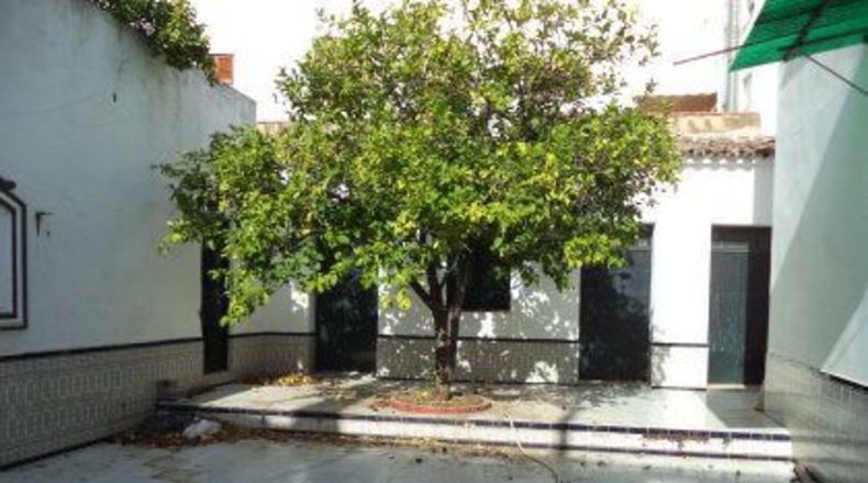 Badajoz - Almendralejo - 540m2
