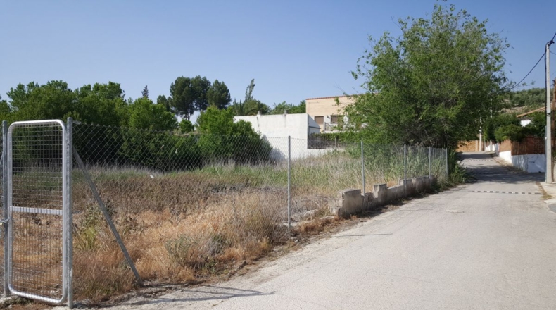 Jaén - La Guardia de Jaén - 2000m2