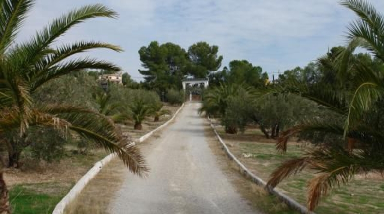 Jaén - Jaén - 4800m2