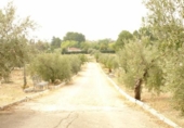 Suelo urbano en venta en La Guardia de Jaén ref: TR21944 foto