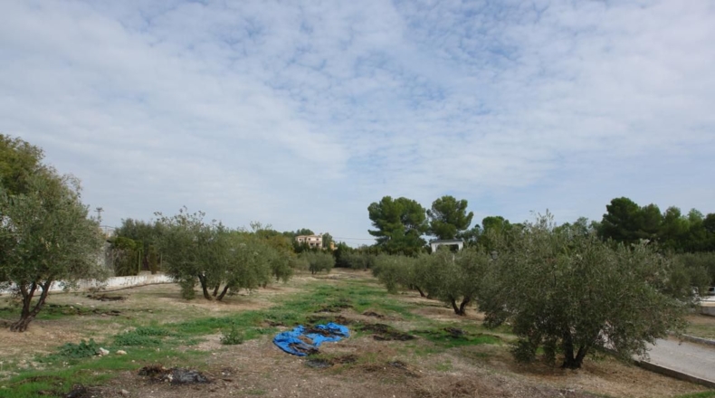 Jaén - Jaén - 4800m2