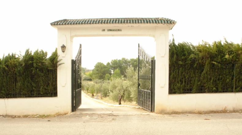 Jaén - Jaén - 4800m2