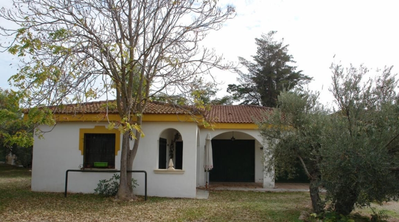 Jaén - Jaén - 4800m2