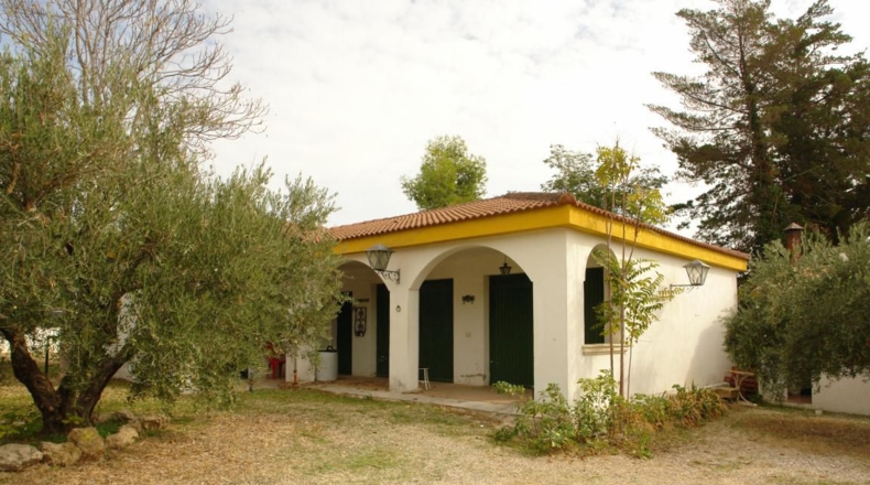 Jaén - Jaén - 4800m2