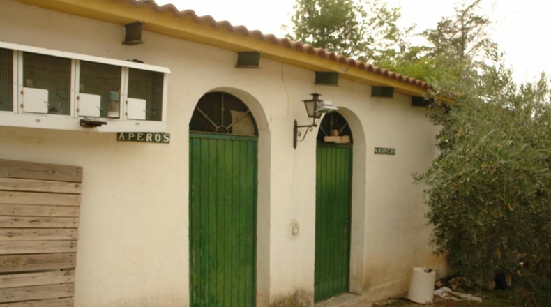 Jaén - Jaén - 4800m2