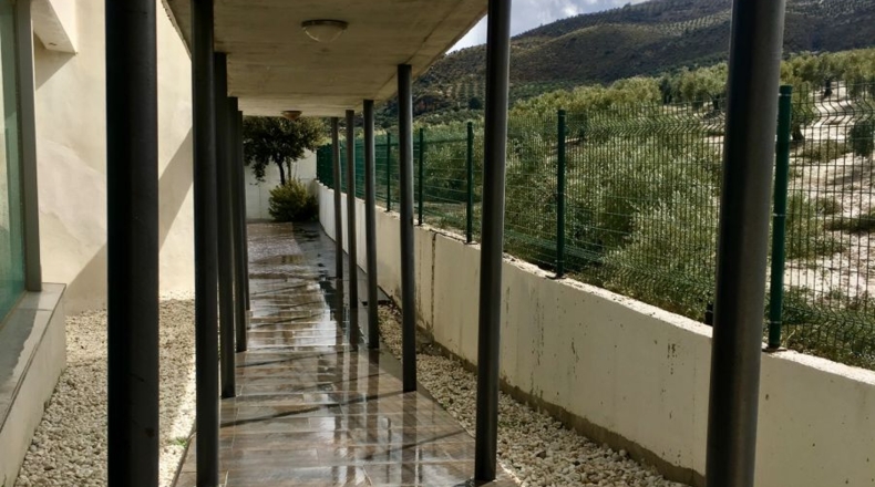 Jaén - La Guardia de Jaén - 974m2