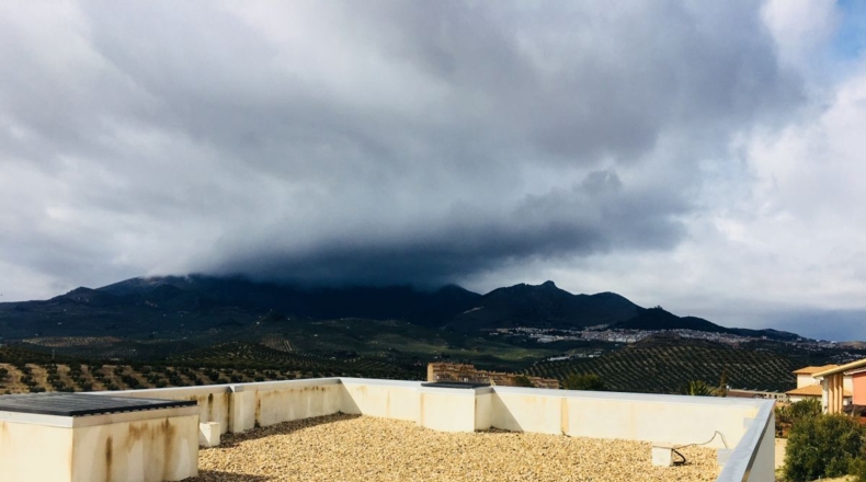 Jaén - La Guardia de Jaén - 974m2