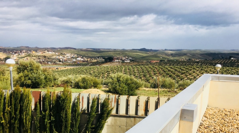 Jaén - La Guardia de Jaén - 974m2