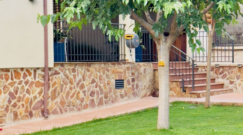 Jaén - La Guardia de Jaén - 800m2