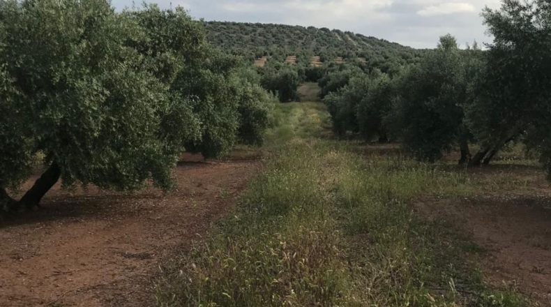 Jaen - Úbeda - 18m2