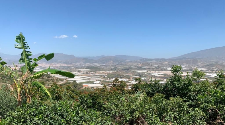 Granada - Puntalón - 14266m2