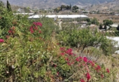 Masia with land for sale in Motril ref: TR306218 photo